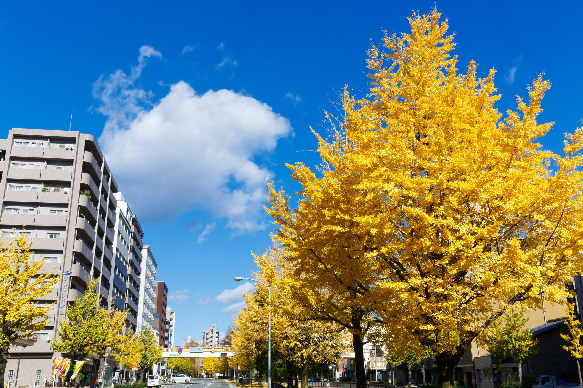 Kyoto City Hotel Eksteriør billede
